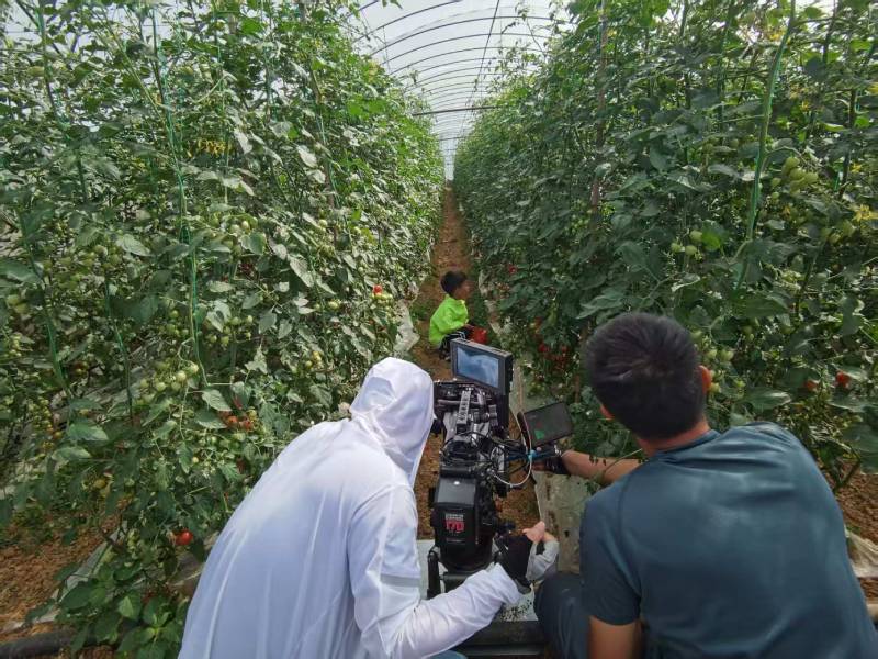 皇姑区产品宣传视频拍摄公司进阶指南，助力品牌抢占传播高地